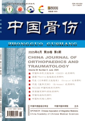 中国骨伤杂志